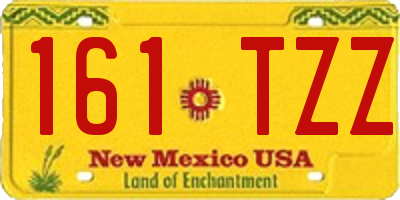 NM license plate 161TZZ