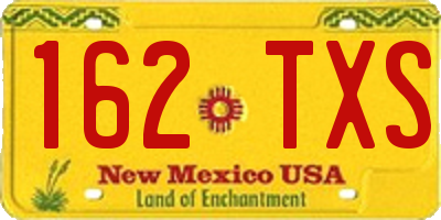 NM license plate 162TXS