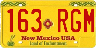 NM license plate 163RGM