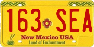 NM license plate 163SEA