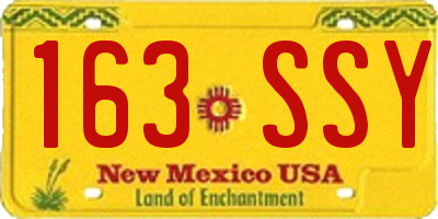 NM license plate 163SSY