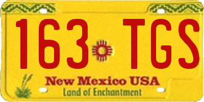 NM license plate 163TGS