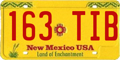 NM license plate 163TIB