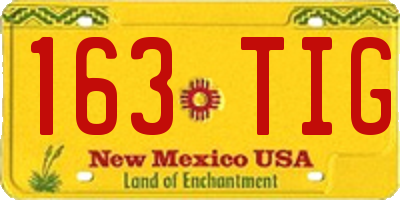 NM license plate 163TIG
