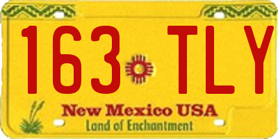 NM license plate 163TLY