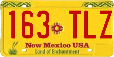 NM license plate 163TLZ