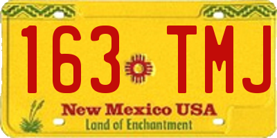 NM license plate 163TMJ