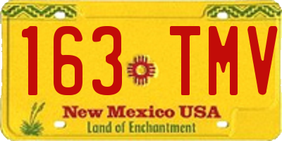 NM license plate 163TMV