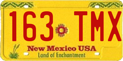NM license plate 163TMX