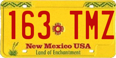 NM license plate 163TMZ