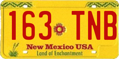 NM license plate 163TNB