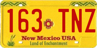 NM license plate 163TNZ