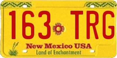 NM license plate 163TRG