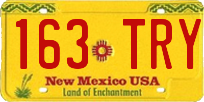 NM license plate 163TRY