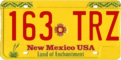 NM license plate 163TRZ