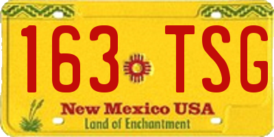 NM license plate 163TSG