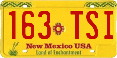 NM license plate 163TSI