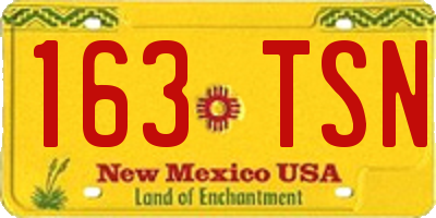 NM license plate 163TSN