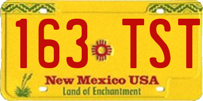 NM license plate 163TST