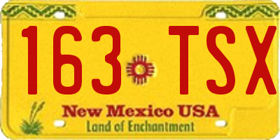 NM license plate 163TSX