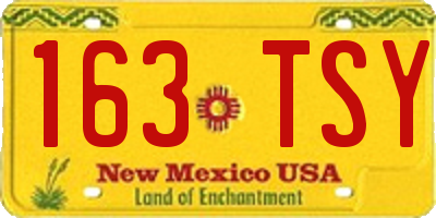NM license plate 163TSY