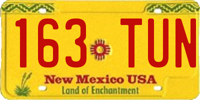 NM license plate 163TUN