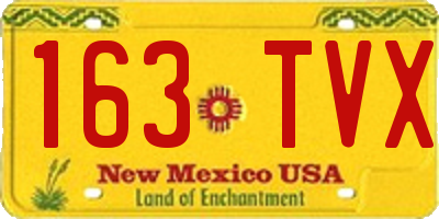 NM license plate 163TVX