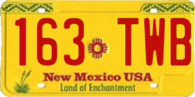 NM license plate 163TWB