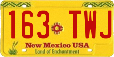 NM license plate 163TWJ