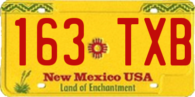 NM license plate 163TXB