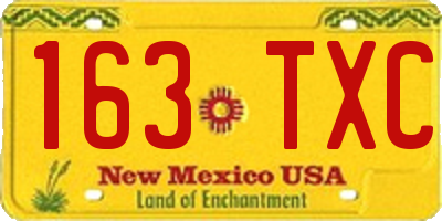 NM license plate 163TXC