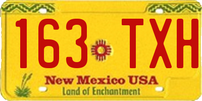 NM license plate 163TXH