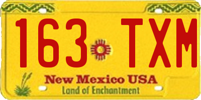NM license plate 163TXM