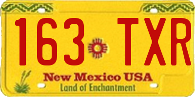 NM license plate 163TXR