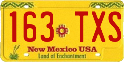 NM license plate 163TXS