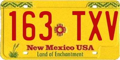 NM license plate 163TXV