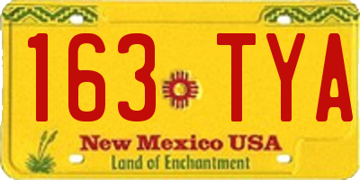 NM license plate 163TYA