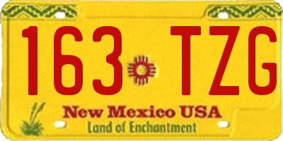NM license plate 163TZG