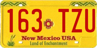 NM license plate 163TZU