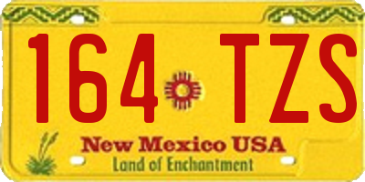 NM license plate 164TZS