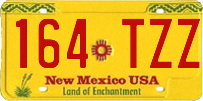 NM license plate 164TZZ