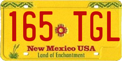 NM license plate 165TGL