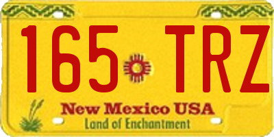 NM license plate 165TRZ