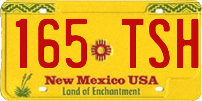 NM license plate 165TSH