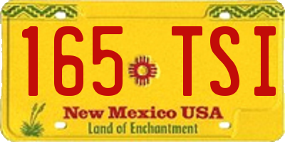 NM license plate 165TSI