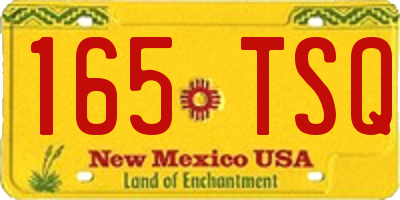 NM license plate 165TSQ