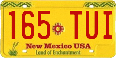 NM license plate 165TUI