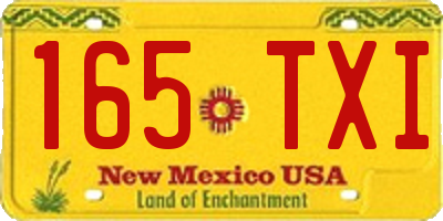 NM license plate 165TXI