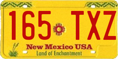 NM license plate 165TXZ