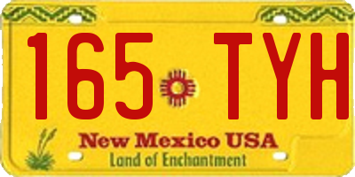 NM license plate 165TYH